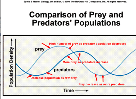 Annotation of the PREDATORS-PREY Relationship