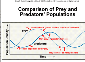 Annotation of the PREDATORS-PREY Relationship